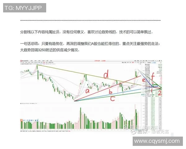 深圳与武汉篮球队赛后技术分析与战术复盘探讨