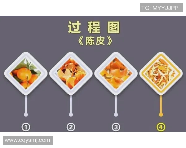 科学排球训练新方法提升速度与反应能力的全面指南 科学排球训练新方法提升速度与反应能力的全面指南