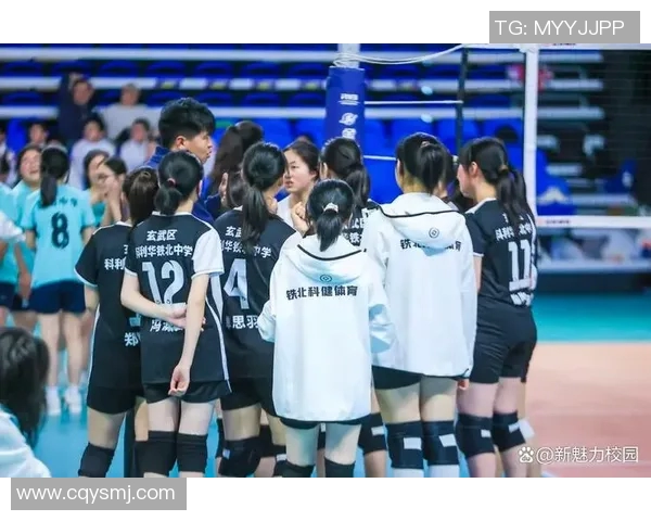 南京排球队创新高排球配合排名跃升至全国前列