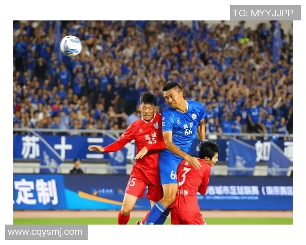 南京排球队状态分析：聚焦球队表现与未来发展方向