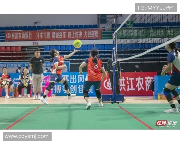 深度对话：探寻周强在网球赛场上的奋斗与成长历程